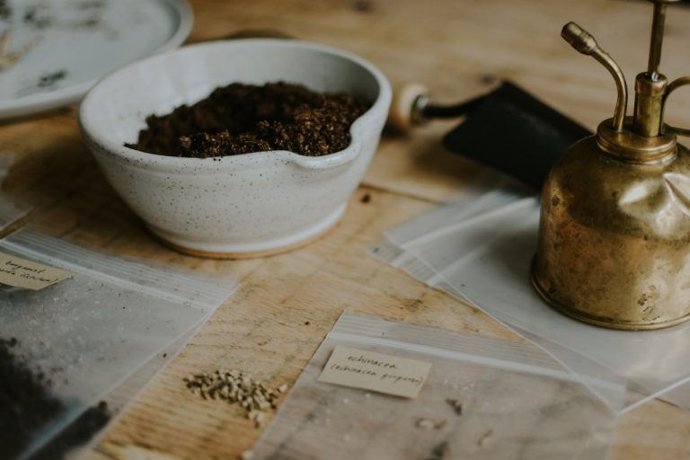 Herb Seeds