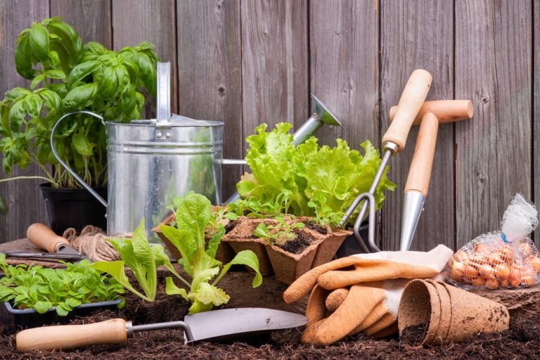 Where should one go for top-quality garden supplies in Singapore