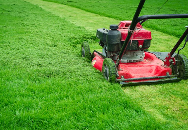 To find out more about the best landscape company in Singapore. Contact Prince Landscape today!
