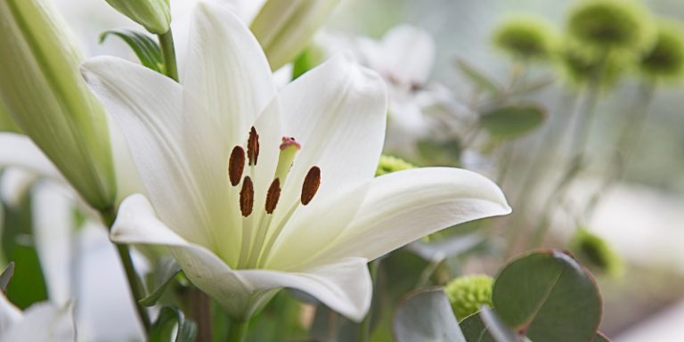 Compassionate Comforts Handmade Condolence Items and Easy Courier Options